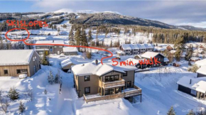 Trysil 豪华全新小木屋住宿